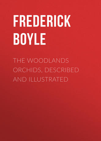 Boyle Frederick. The Woodlands Orchids, Described and Illustrated