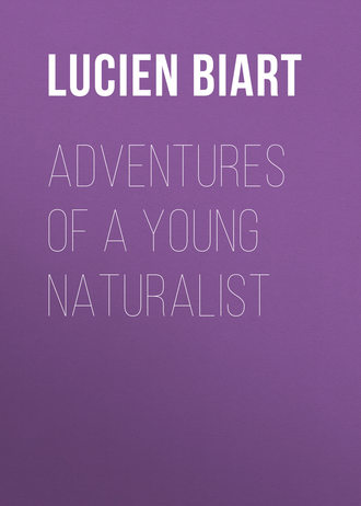 Adventures of a Young Naturalist. Lucien Biart