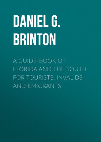 Brinton Daniel Garrison. A Guide-Book of Florida and the South for Tourists, Invalids and Emigrants