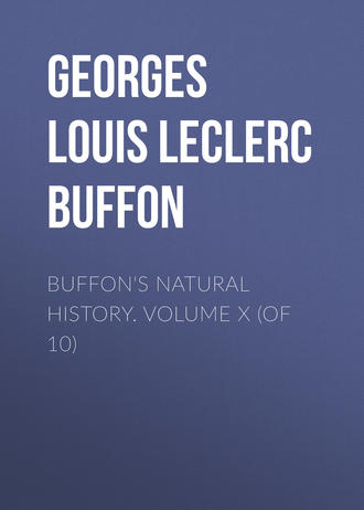 Comte de Buffon Georges Louis Leclerc. Buffon's Natural History. Volume X (of 10)