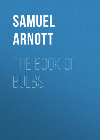 Arnott Samuel. The Book of Bulbs