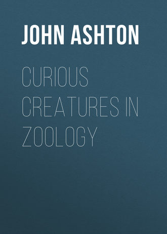 Ashton John. Curious Creatures in Zoology