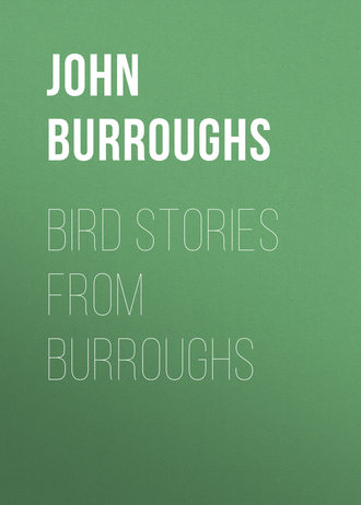 John Burroughs. Bird Stories from Burroughs