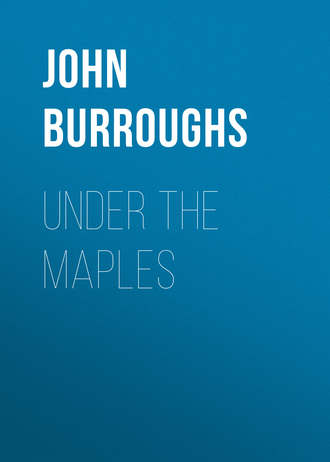 John Burroughs. Under the Maples