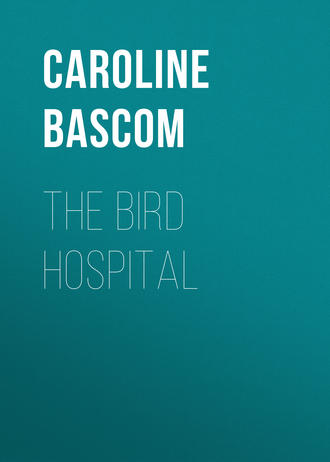 Bascom Caroline Crowninshield. The Bird Hospital