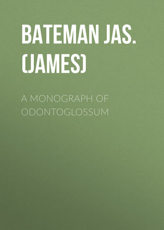 Bateman Jas. (James). A Monograph of Odontoglossum