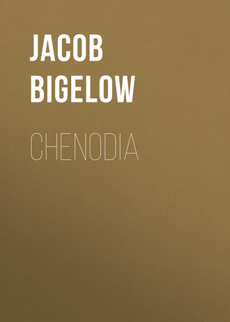 Jacob Bigelow. Chenodia