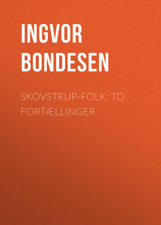 Bondesen Ingvor. Skovstrup-Folk: To Fort?llinger
