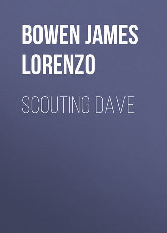 Джеймс Боуэн. Scouting Dave