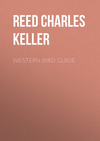 Reed Charles Keller. Western Bird Guide