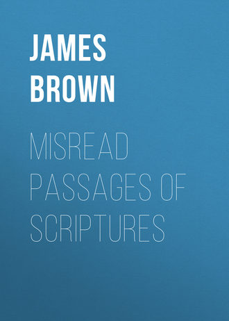 Brown James Baldwin. Misread Passages of Scriptures