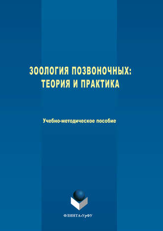 Зоология позвоночных. Теория и практика. Наталия Погодина