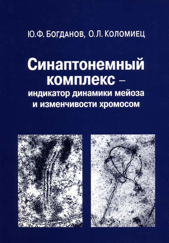 Синаптонемный комплекс – индикатор динамики мейоза и изменчивости хромосом. Ю. Ф. Богданов