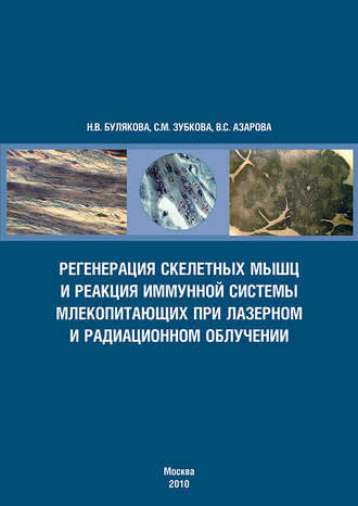 Регенерация скелетных мышц и реакция иммунной системы млекопитающих при лазерном и радиационном облучении. С. М. Зубкова
