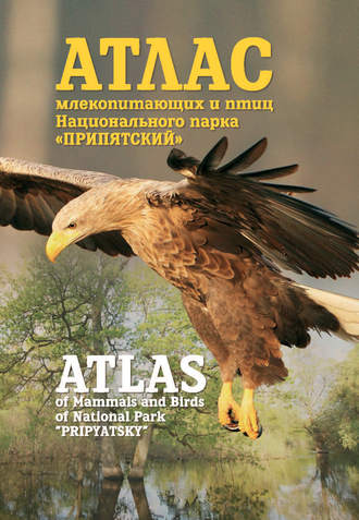 В. Ч. Домбровский. Атлас млекопитающих и птиц Национального парка «Припятский». Atlas of Mammals and Birds of National Park «Pripyatsky»