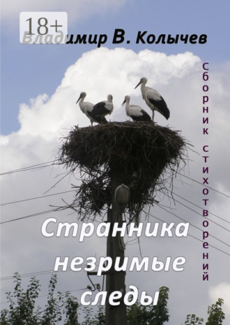 Странника незримые следы. Владимир Васильевич Колычев