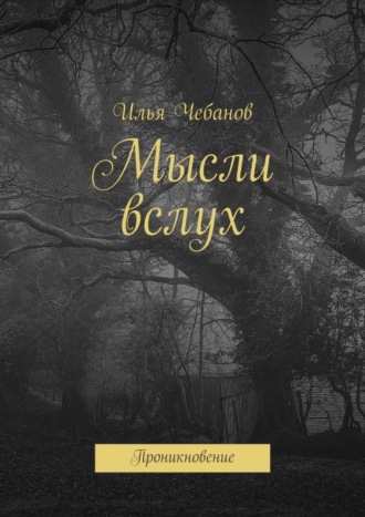 Мысли вслух. Проникновение. Илья Чебанов