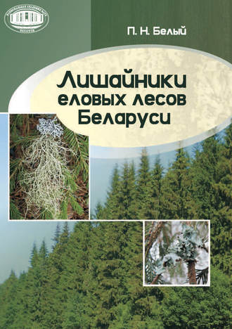 П. Н. Белый. Лишайники еловых лесов Беларуси