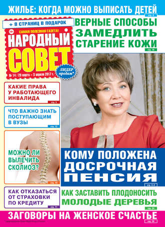 Народный совет №14/2017. Группа авторов