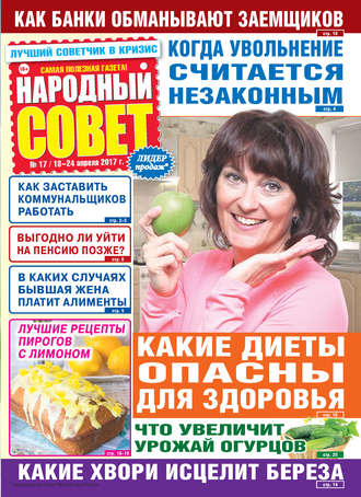 Народный совет №17/2017. Группа авторов