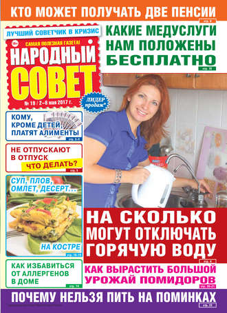 Народный совет №19/2017. Группа авторов