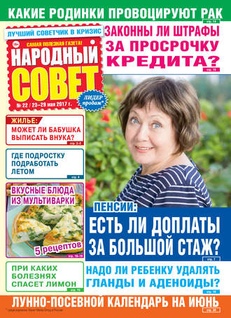 Народный совет №22/2017. Группа авторов