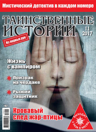 Таинственные истории №11/2017. Группа авторов