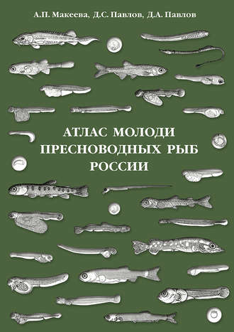 Д. С. Павлов. Атлас молоди пресноводных рыб России
