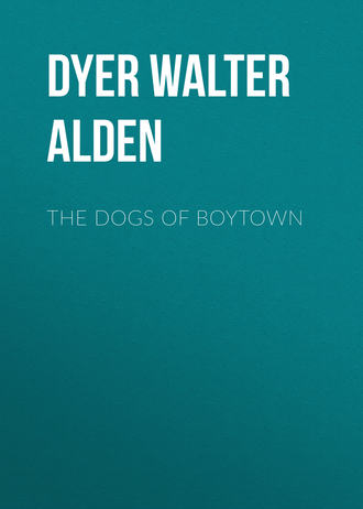Dyer Walter Alden. The Dogs of Boytown