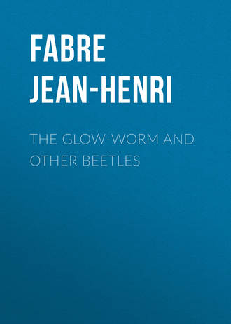 Fabre Jean-Henri. The Glow-Worm and Other Beetles