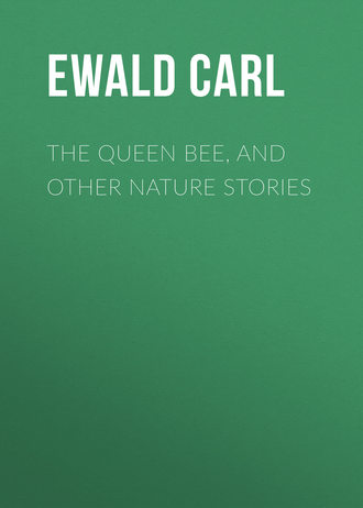 Ewald Carl. The Queen Bee, and Other Nature Stories