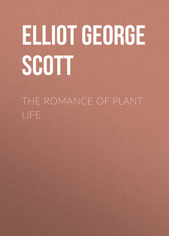 Elliot George Francis Scott. The Romance of Plant Life