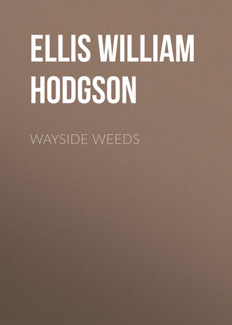 Ellis William Hodgson. Wayside Weeds