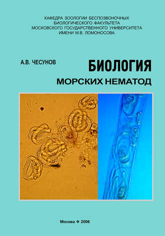 А. В. Чесунов. Биология морских нематод