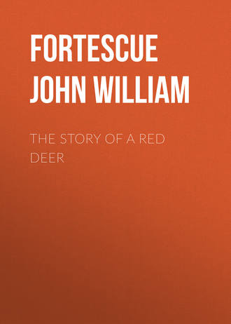 Fortescue John William. The Story of a Red Deer