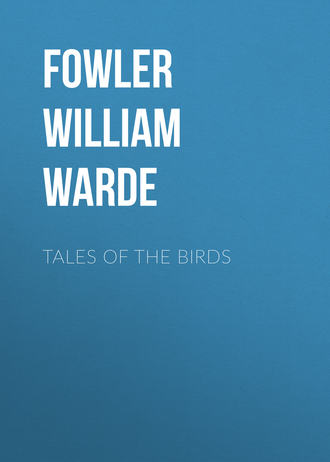 Tales of the birds. 