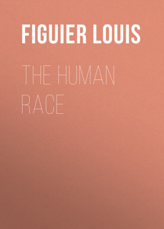Figuier Louis. The Human Race