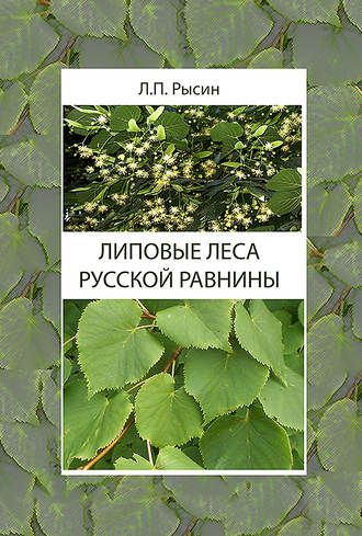 Л. П. Рысин. Липовые леса Русской равнины