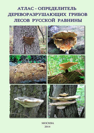 В. Г. Стороженко. Атлас-определитель дереворазрушающих грибов лесов Русской равнины