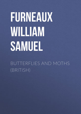 Furneaux William Samuel. Butterflies and Moths (British)