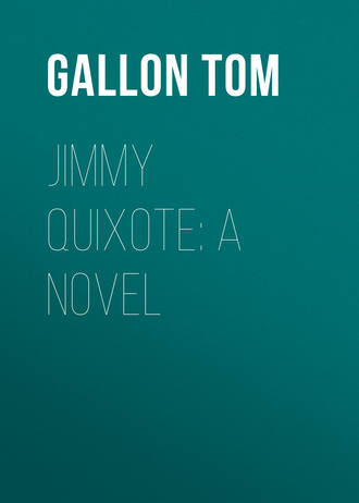 Gallon Tom. Jimmy Quixote: A Novel