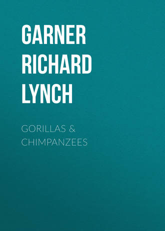 Garner Richard Lynch. Gorillas & Chimpanzees
