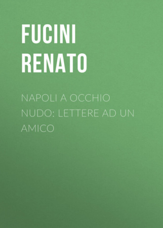 Napoli a occhio nudo: Lettere ad un amico. Fucini Renato