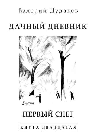 Дачный дневник. Первый снег. Книга двадцатая. Валерий Дудаков