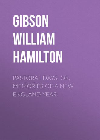 Gibson William Hamilton. Pastoral Days; or, Memories of a New England Year