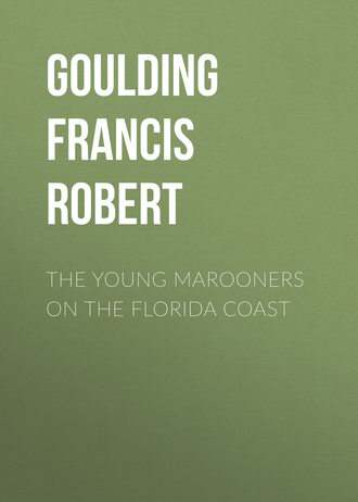 Goulding Francis Robert. The Young Marooners on the Florida Coast