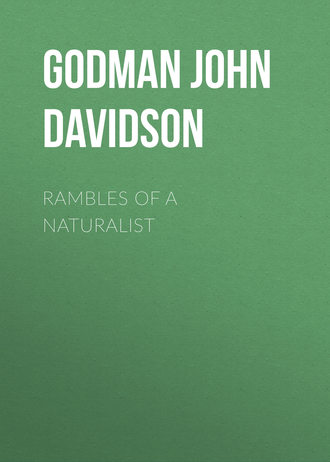 Godman John Davidson. Rambles of a Naturalist
