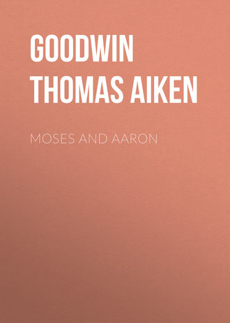 Goodwin Thomas Aiken. Moses and Aaron
