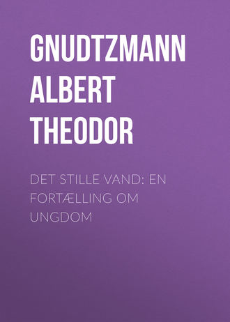 Det stille Vand: En Fort?lling om Ungdom. Gnudtzmann Albert Theodor