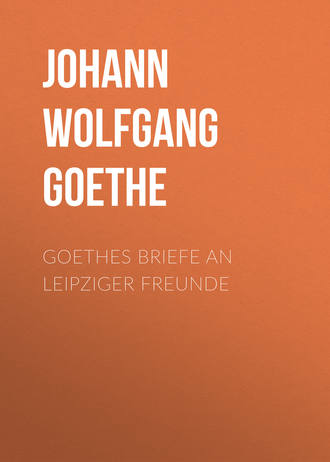 Иоганн Вольфганг фон Гёте. Goethes Briefe an Leipziger Freunde